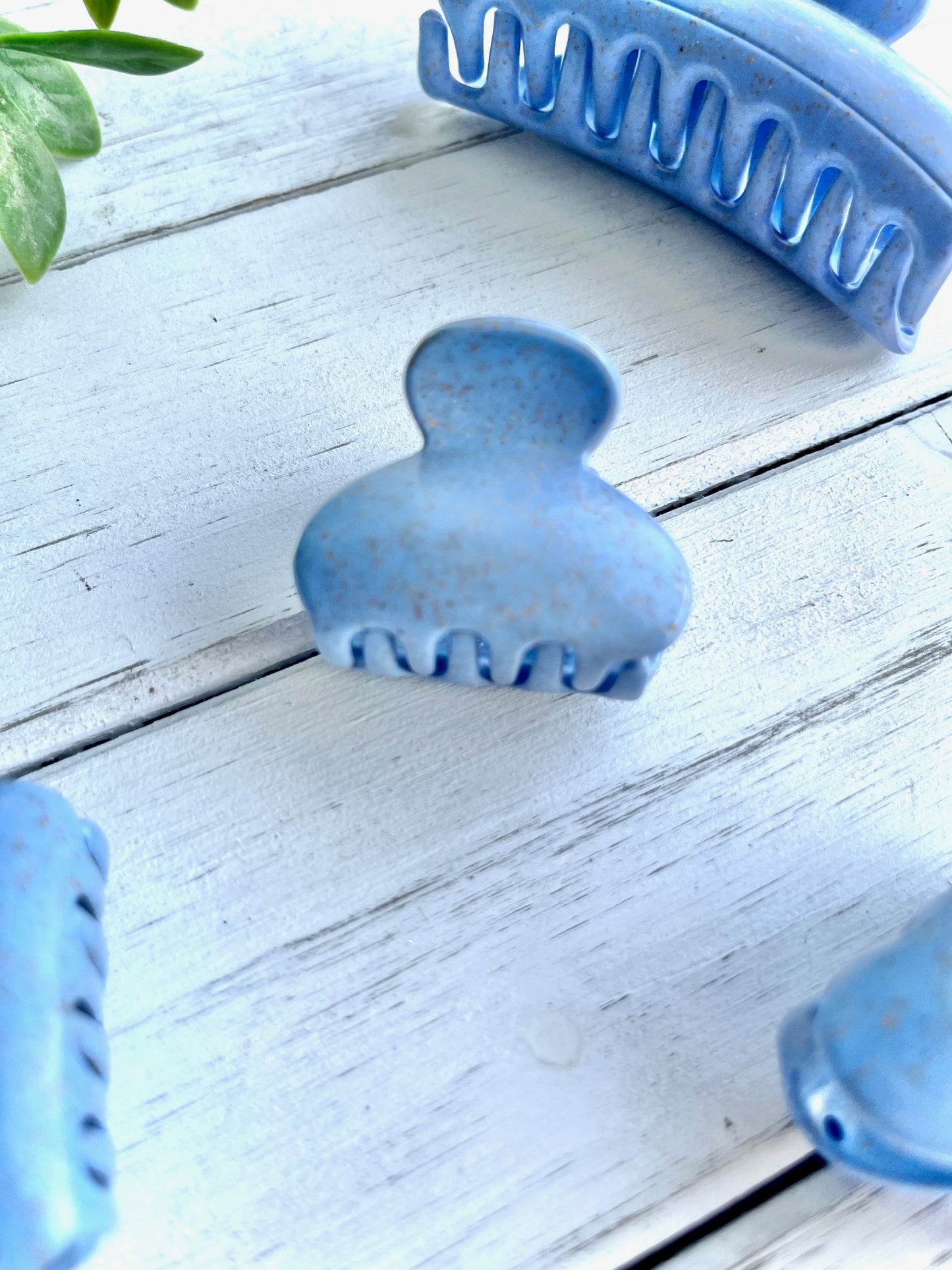 Blueberry Delight Topping