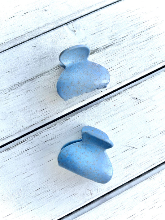 Blueberry Delight Topping