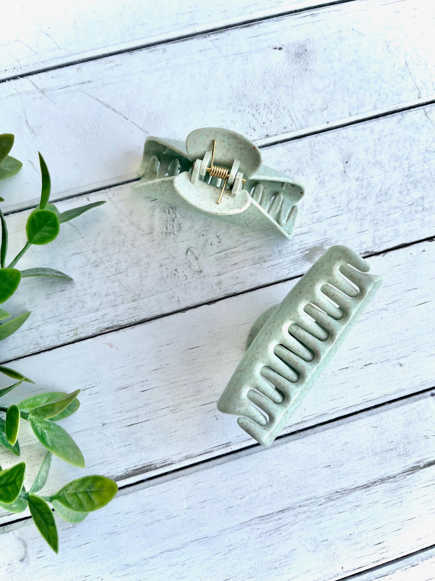 Little Pistachio Croissant