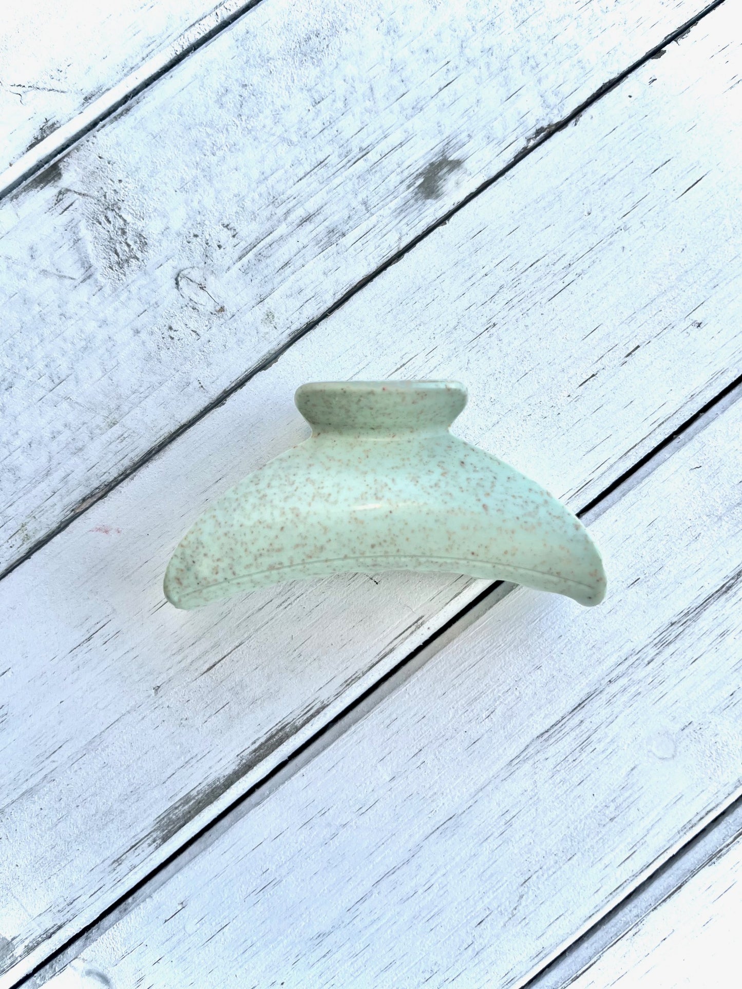 Little Pistachio Croissant