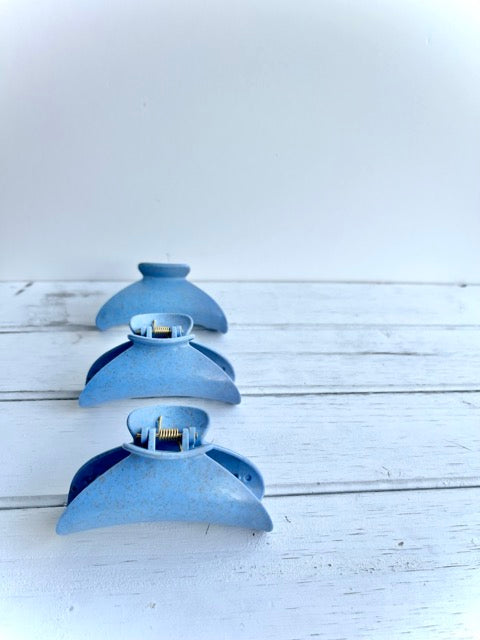 Little Blueberry Croissant