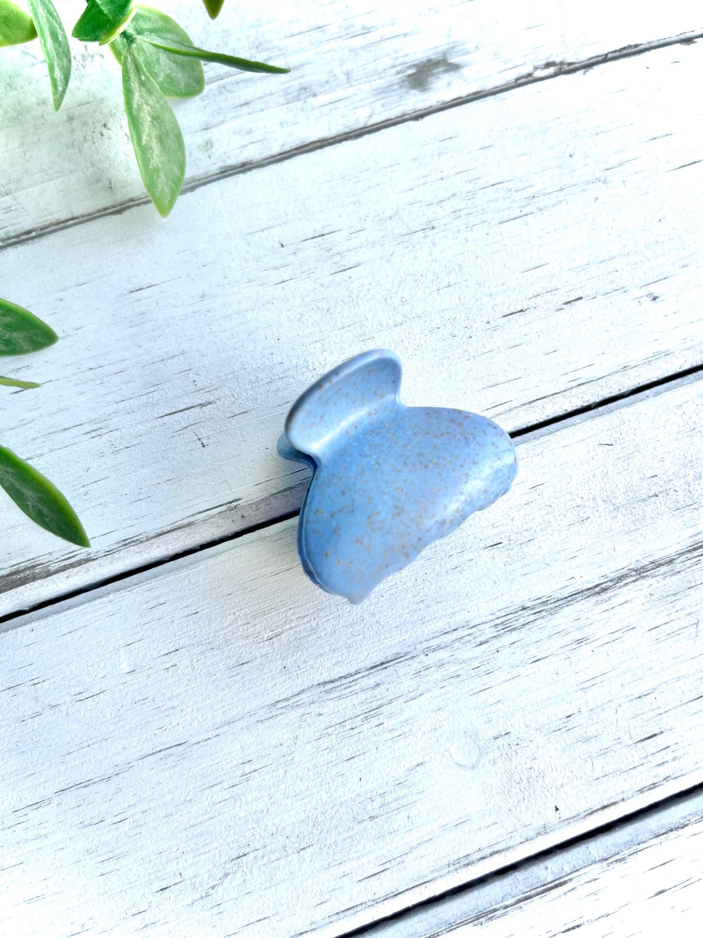 Blueberry Delight Topping